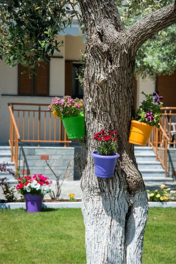 Holiday Villa Thassos Koinira Extérieur photo